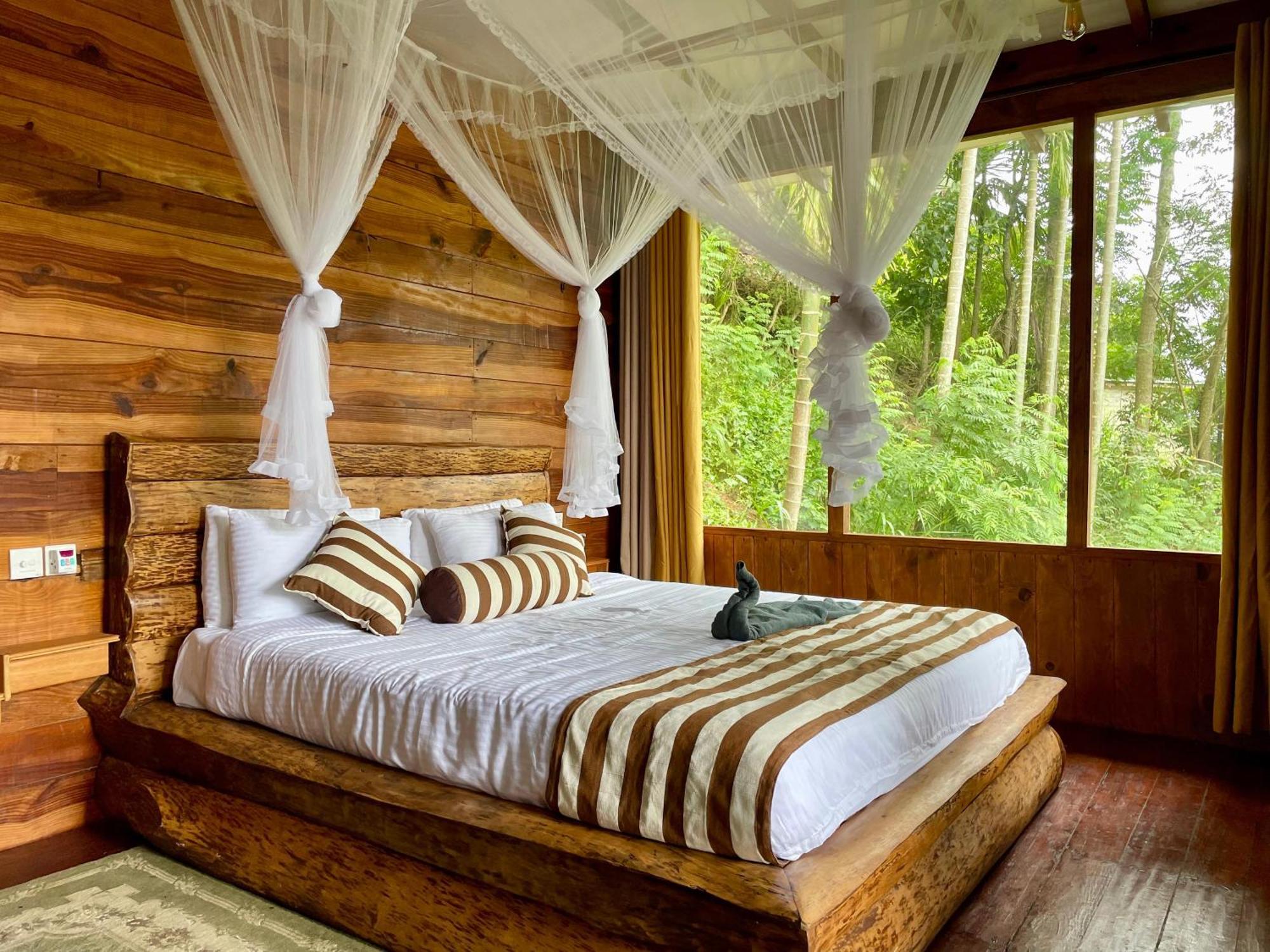 Rustic Cottage Ела Екстериор снимка